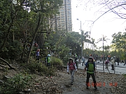 pic_Wai_022.JPG (613340 bytes)