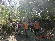 pic_Wai_024.JPG (684744 bytes)