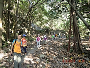 pic_Wai_026.JPG (756434 bytes)