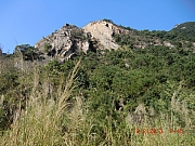 pic_Wai_027.JPG (690603 bytes)