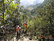 pic_Wai_031.JPG (832969 bytes)