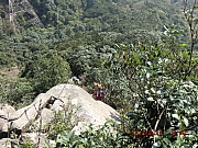 pic_Wai_032.JPG (791545 bytes)