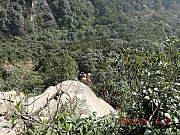 pic_Wai_035.JPG (770572 bytes)