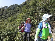 pic_Wai_040.JPG (758750 bytes)