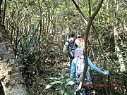 pic_Wai_042.JPG (753814 bytes)