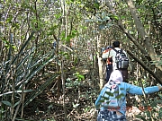 pic_Wai_043.JPG (787442 bytes)