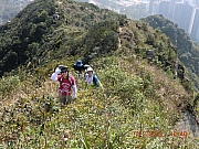 pic_Wai_045.JPG (802136 bytes)