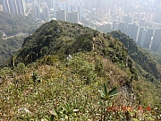 pic_Wai_051.JPG (731915 bytes)