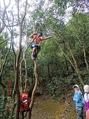 pic_Wai_104.JPG (667549 bytes)