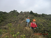 pic_Wai_112.JPG (502263 bytes)