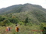 pic_Wai_113.JPG (653496 bytes)