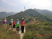 pic_Wai_120.JPG (493088 bytes)