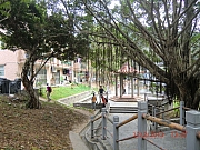 pic_Wai_123.JPG (741070 bytes)