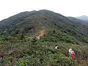 P2170013.JPG (276072 bytes)