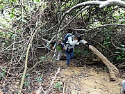 P2240011.JPG (376923 bytes)