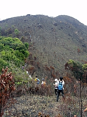 P2240073.JPG (299917 bytes)