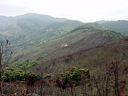 P2240074.JPG (207155 bytes)