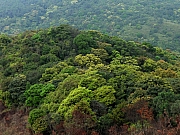 P2240080.JPG (322067 bytes)