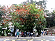 P3030001.JPG (362356 bytes)