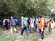 P3030010.JPG (364611 bytes)