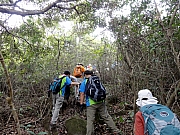 P3030017.JPG (380107 bytes)