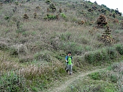 P3030041.JPG (350594 bytes)