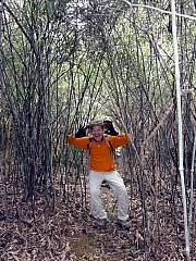 P3030056.JPG (430384 bytes)