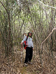 P3030057.JPG (416204 bytes)