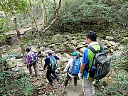 P3030065.JPG (336362 bytes)