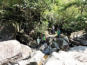 P3100045.JPG (381170 bytes)
