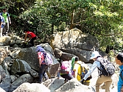 P3100049.JPG (369155 bytes)