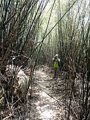 P3100054.JPG (431655 bytes)