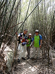 P3100055.JPG (408549 bytes)