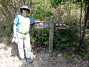 P3100063.JPG (379355 bytes)