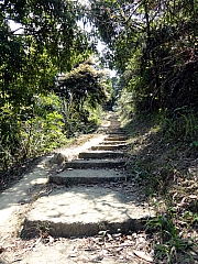 P3100066.JPG (418183 bytes)