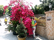 P3100068.JPG (324951 bytes)