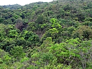 P3240043.JPG (394695 bytes)