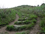 P3240082.JPG (309427 bytes)