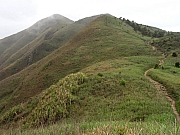 P3240085.JPG (232604 bytes)