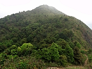 P3240104.JPG (234598 bytes)