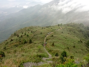 P3240107.JPG (219944 bytes)