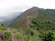 P3240153.JPG (246441 bytes)