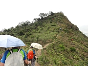 P3240157.JPG (220729 bytes)