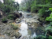 P4070104.JPG (371027 bytes)