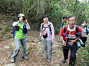 P4140018.JPG (326127 bytes)