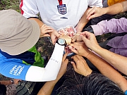 P4140057.JPG (199276 bytes)