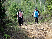 P4140107.JPG (392437 bytes)