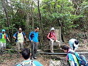 P4210044.JPG (356476 bytes)