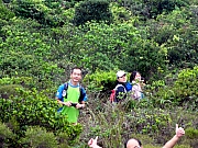 P4280132.JPG (387001 bytes)