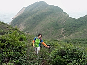 P4280135.JPG (277179 bytes)